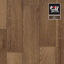 Линолеум Polystyl Lux OAK 8  | FLOORDEALER